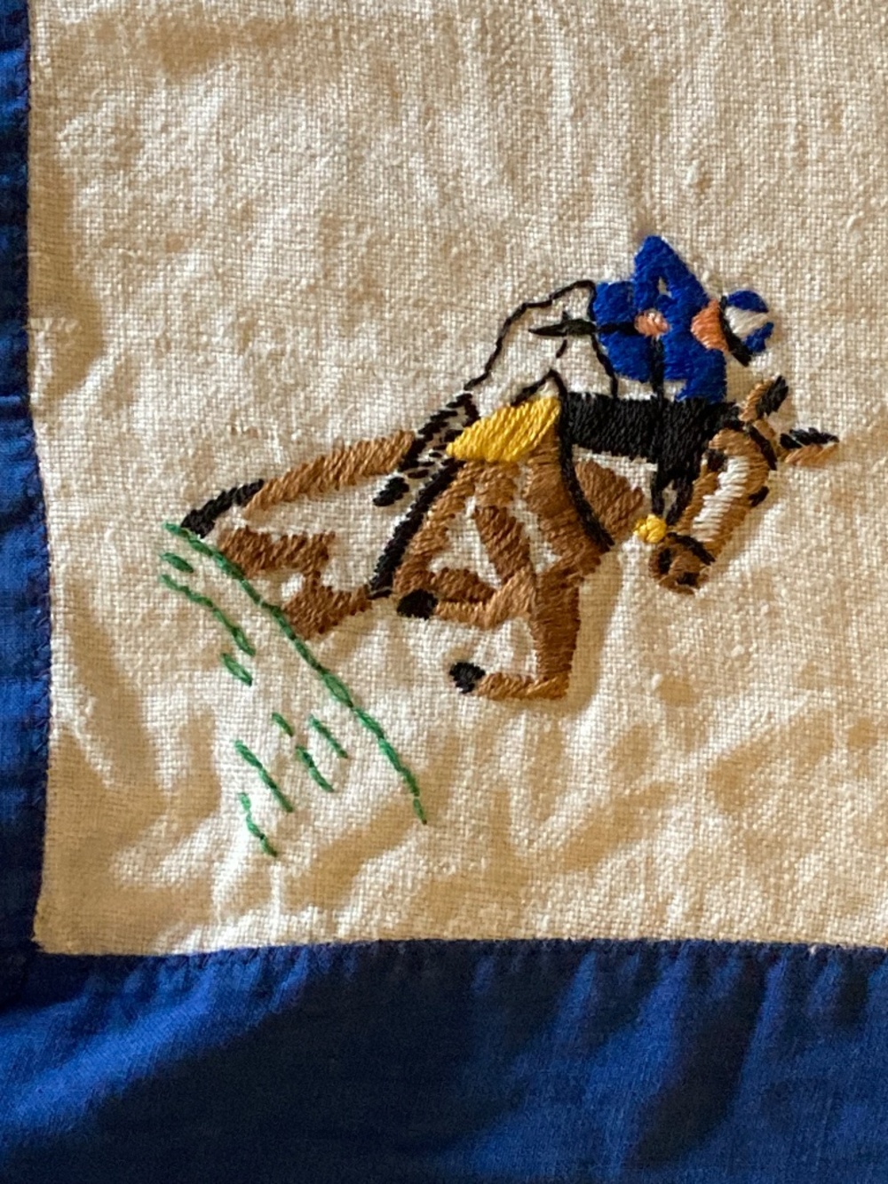 Equestrian Themed Small Tablecloth & Napkins